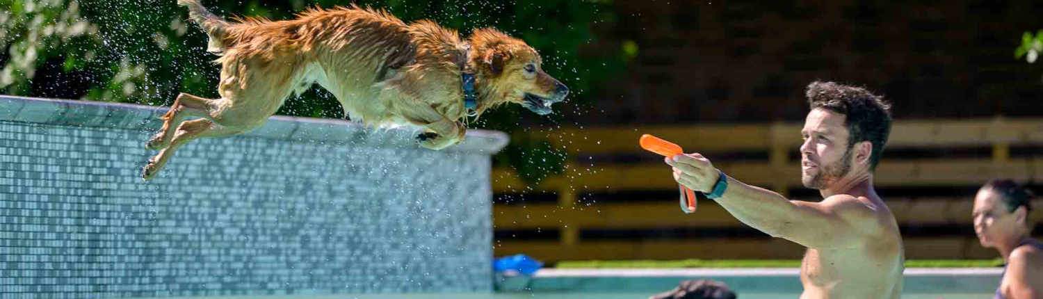 Attività riabilitazione in acqua - DockDogs