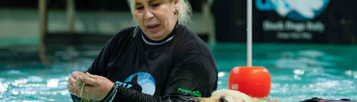 Attività in piscina - DockDogs